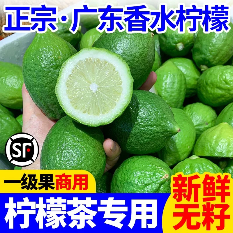 顺丰冷链直发广东香水柠檬爆香型手打柠檬茶必备奶茶店专用新鲜