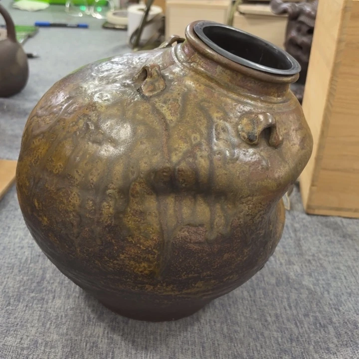 主***贝非常美丽漂亮的物品