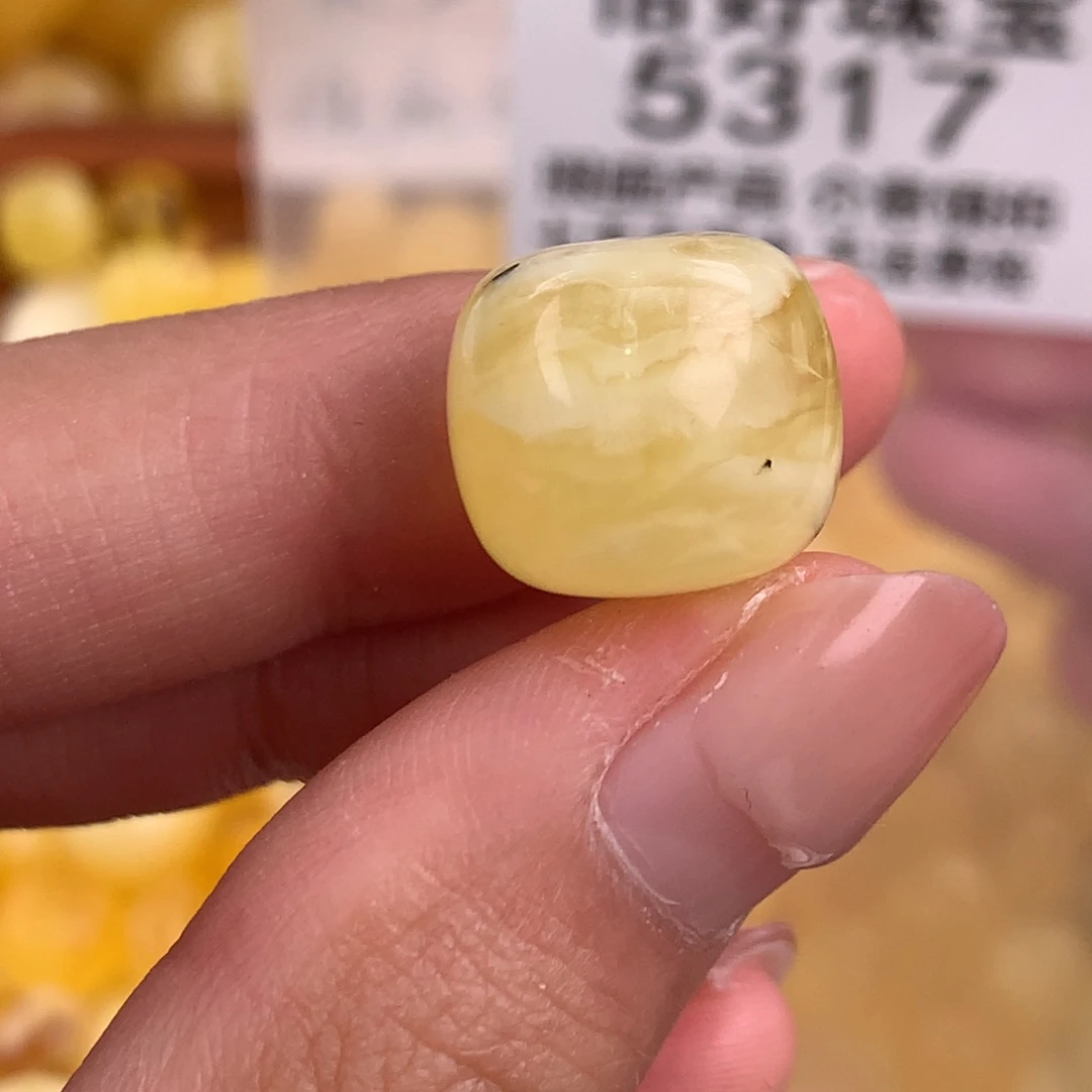 琥珀未镶嵌珠宝奇石14.9植物