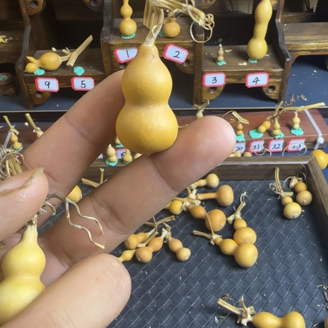 P*我是一只小小鸟地域鬼的