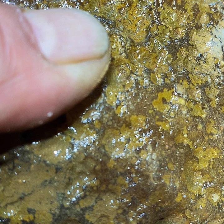 定制玛瑙星****童好咯呜图太咯