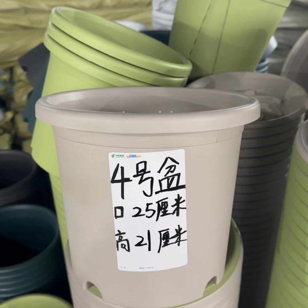 塑料四季4号灰白10个无托