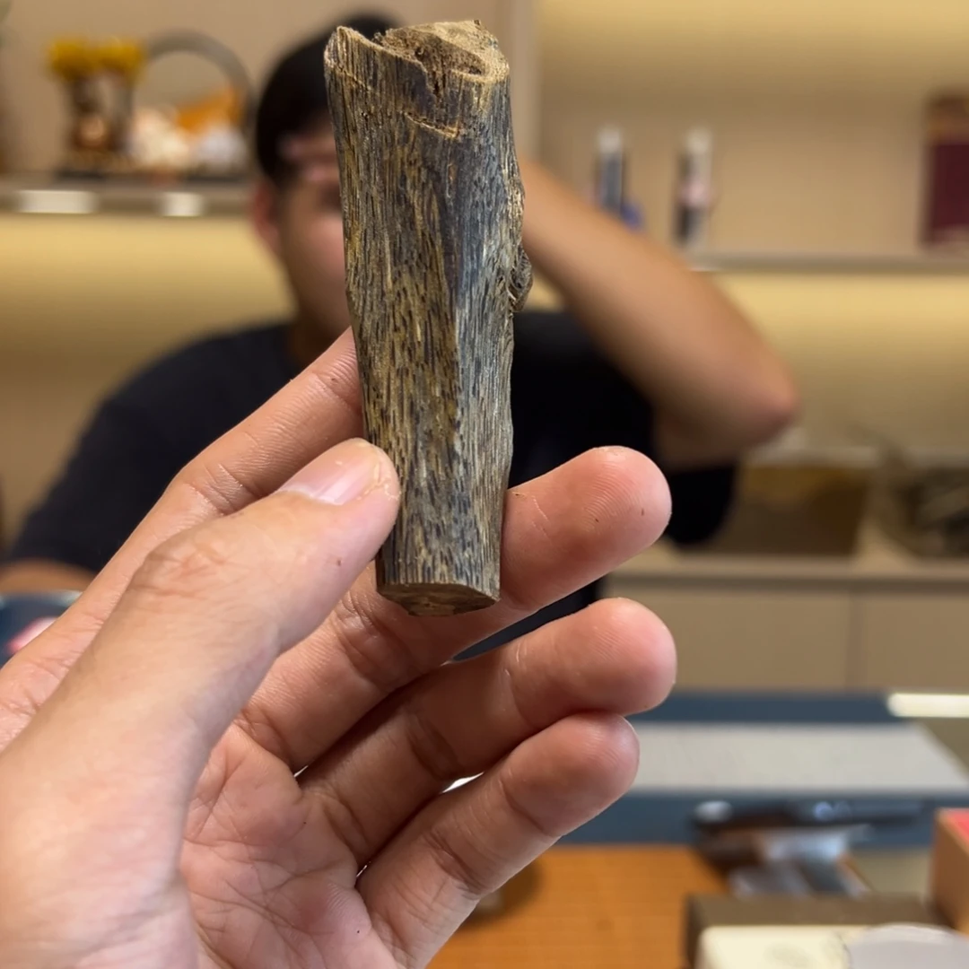 沉香红骨纯化虫漏老料15克