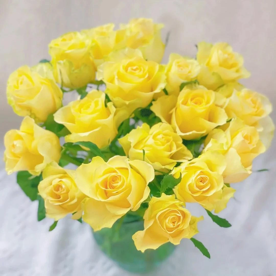 【浪漫沙滩玫瑰】云南高品质鲜花 全场鲜花任意两单及以上包邮