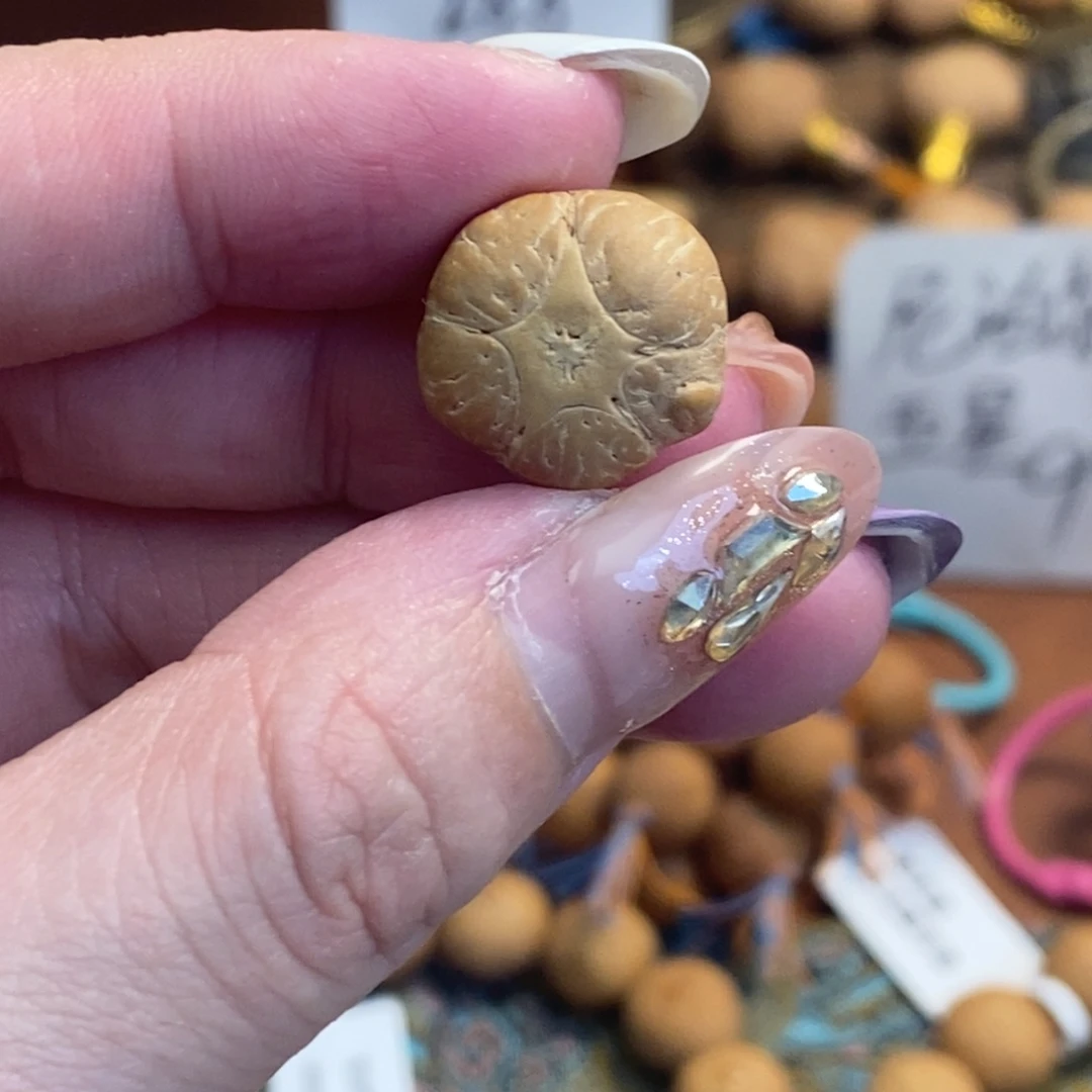 吊坠凤眼菩提15.3五星单颗厚11.7