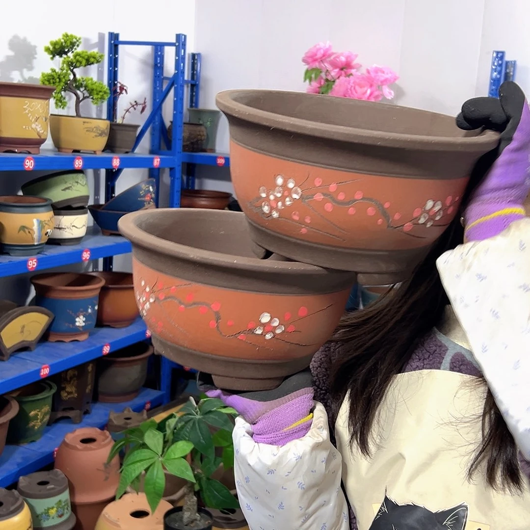 红富贵点菜中号一对