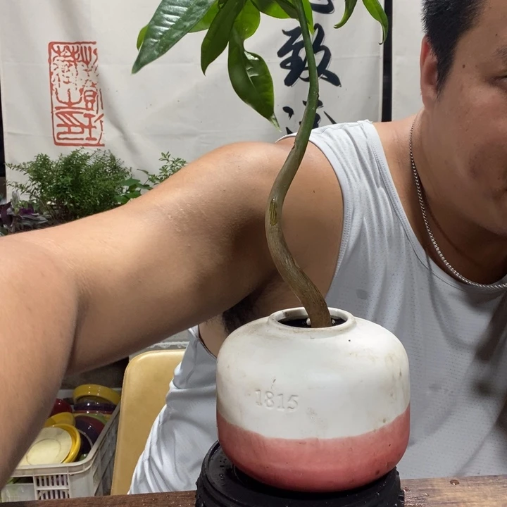 一物一拍所见即所得319