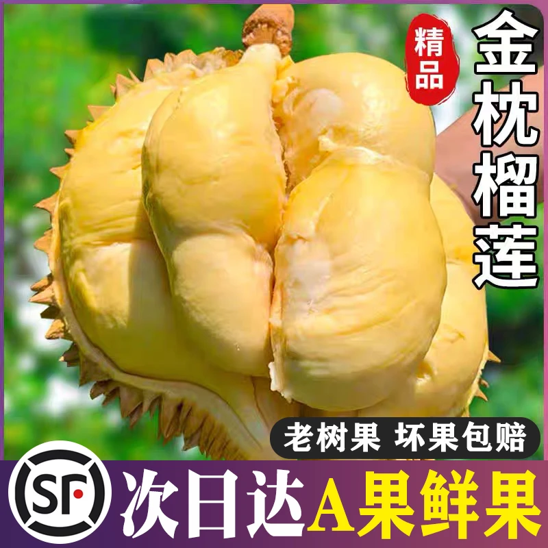 【辣辣补贴】A级2-5斤金枕榴莲泰国鲜榴莲金枕头整颗带壳鲜果【顺丰次日达】皮薄肉厚核小XM金枕泰国东部