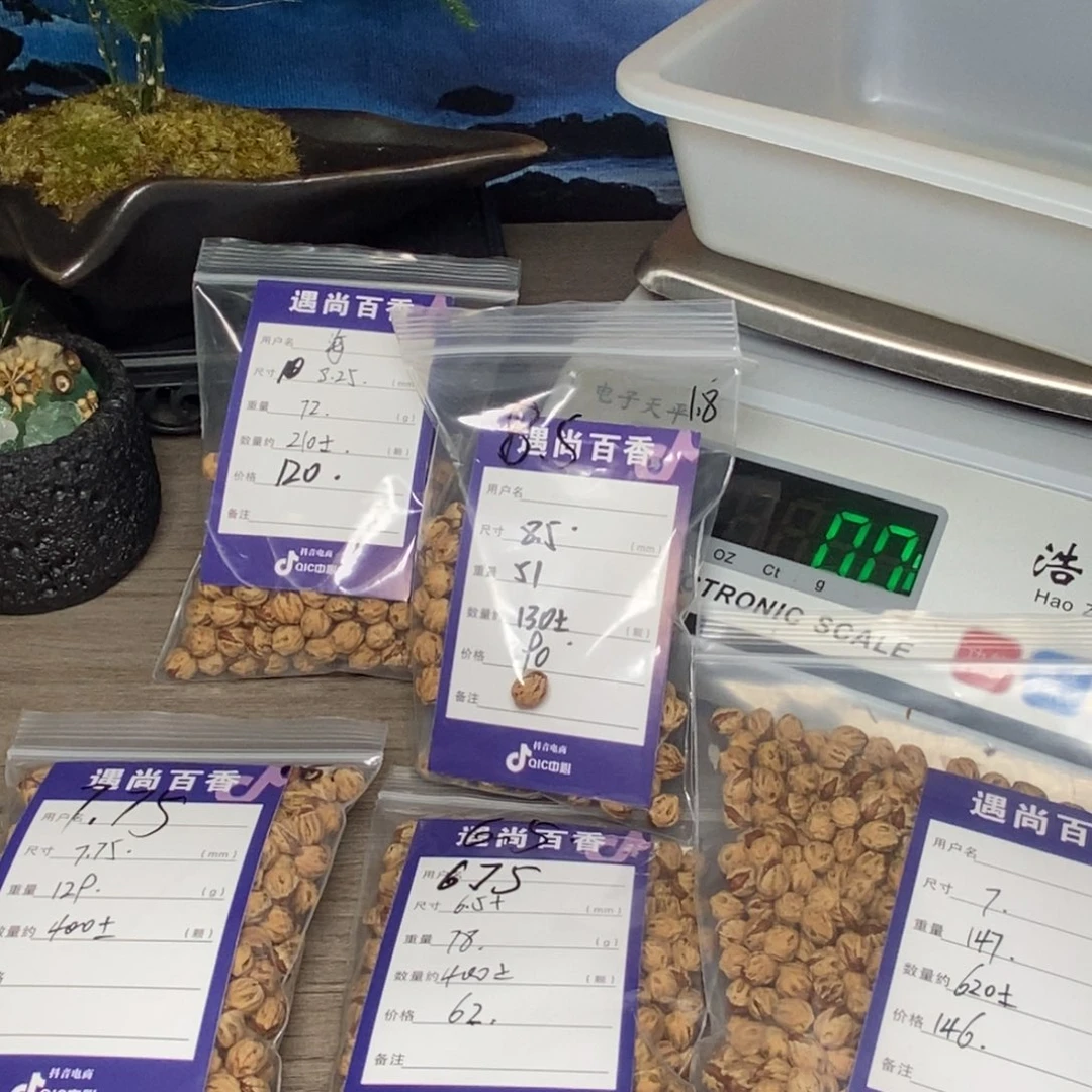 海***瓶吊坠柏香籽/百香籽