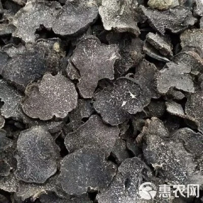 云南高黎贡山黑松露干片
