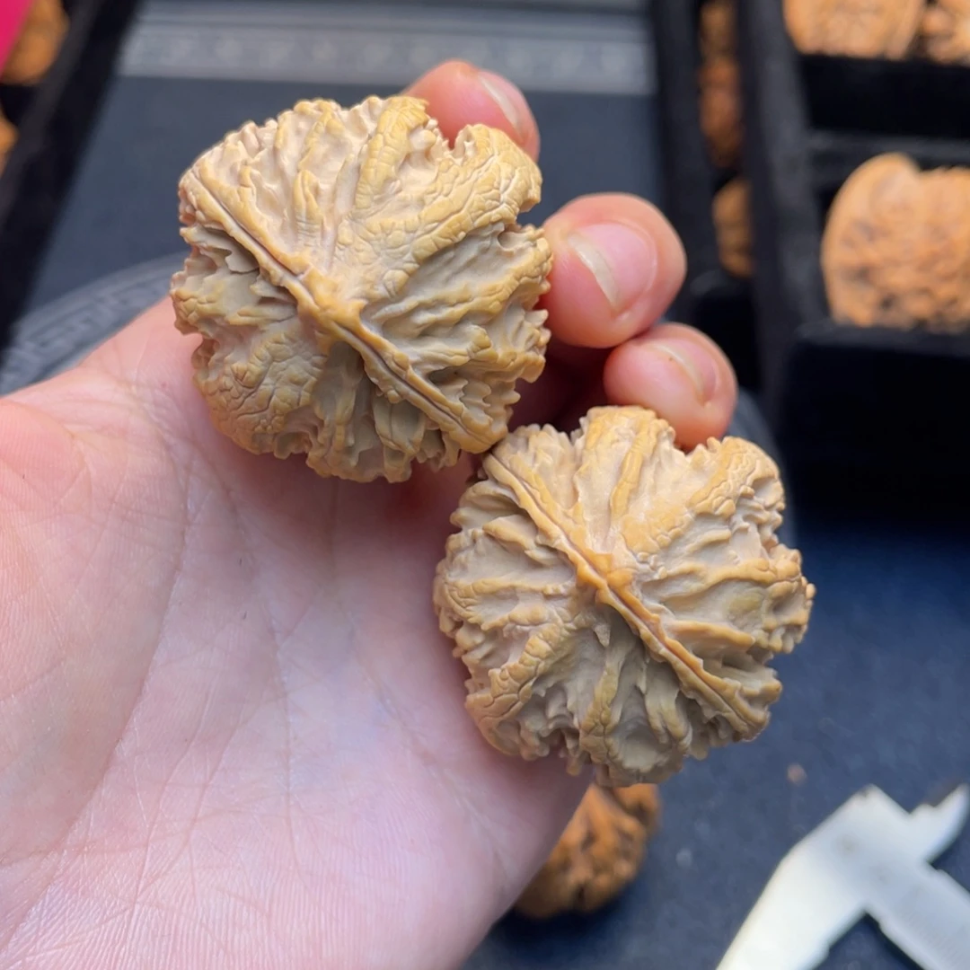 文玩核桃吊坠秦岭核桃41