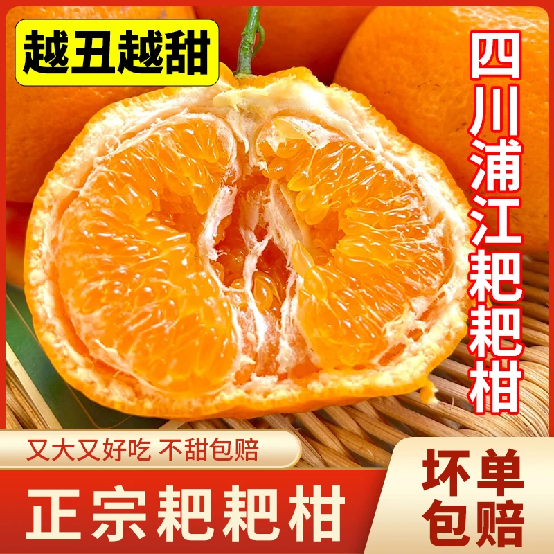 四川蒲江春见耙耙柑眉山香甜爆汁维c多汁新鲜特大果橘子当季水果