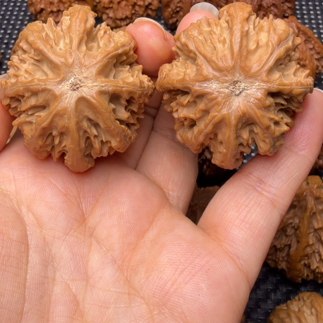 文玩核桃把件龙脊八棱06