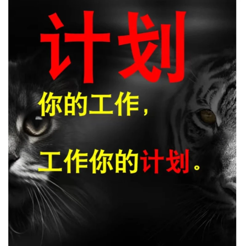 Deepseek 职业策划方案6