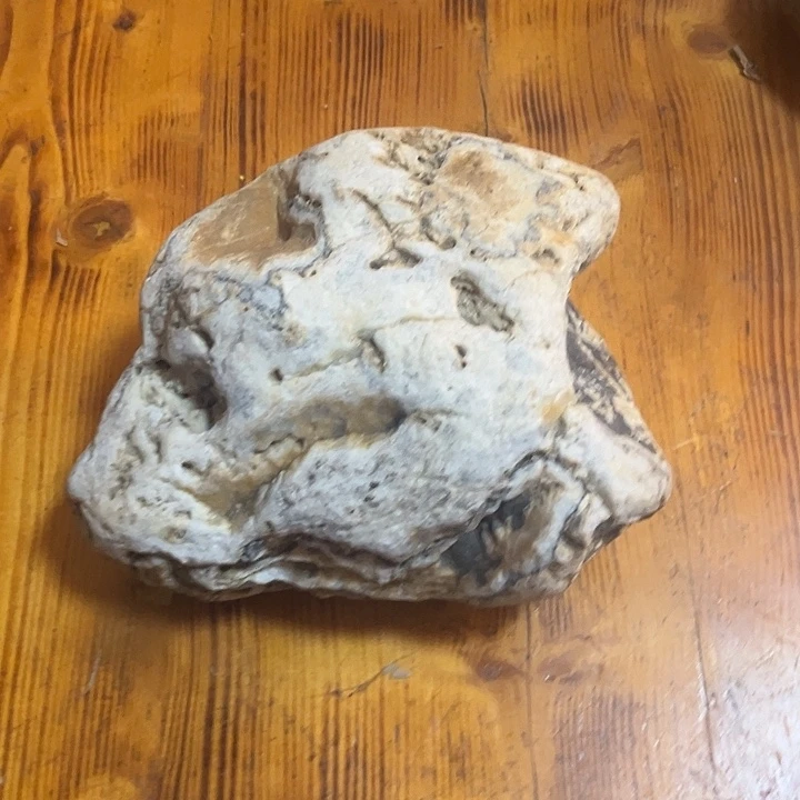 赏***康即使一切看起来都暗淡无光，也要留意那些微弱的光芒。