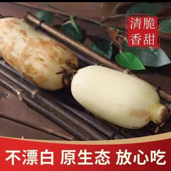 【脆糯混搭】现挖新鲜莲藕，每日现挖，不漂白不泡药。