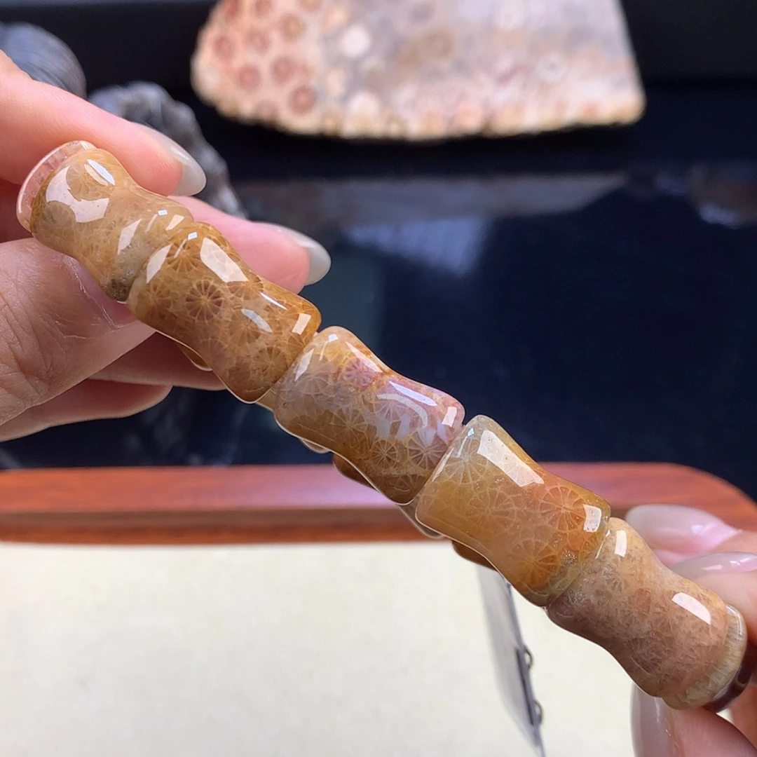 【闪购商品】硅化珊瑚（珊瑚玉）未镶嵌颈饰福利手牌（27号）