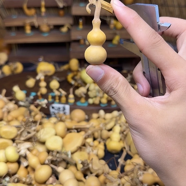 志***型花非花大姐大姐参加撤军