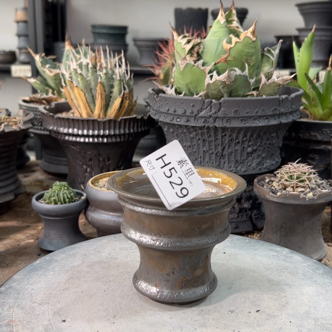 景德镇手工素里内口10.5高9