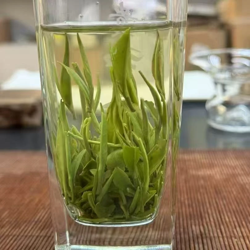 【手工制作】明前特级耐泡新茶兰花香小芽高山绿茶口感回甘一芽一叶