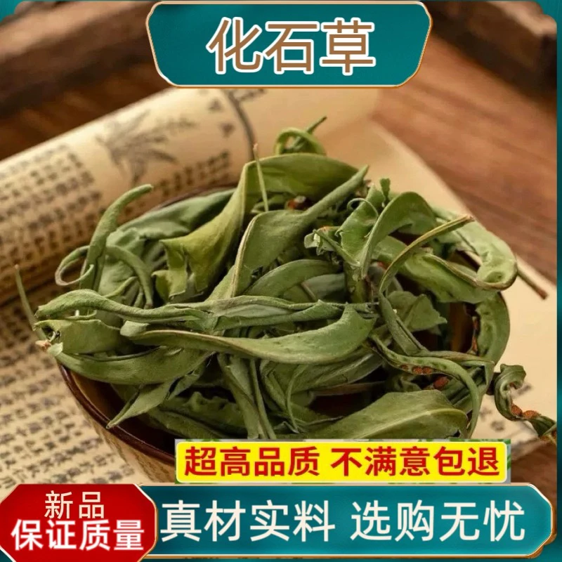 化石草云南精选野生化石草晒干高海拔4200米中草药新货原生态新鲜