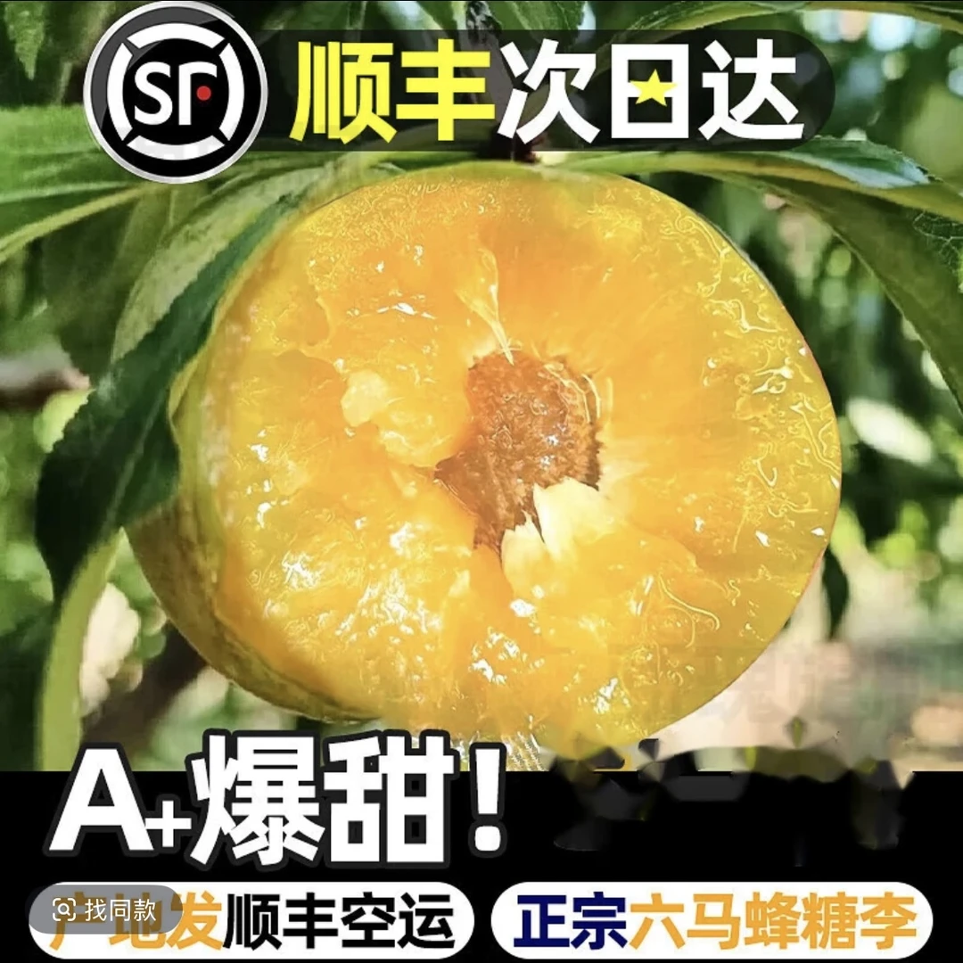 【当天拍当天发】六马蜂糖李子新鲜采摘脆甜多汁当季水果纯甜产地直发李子同城送贵州省