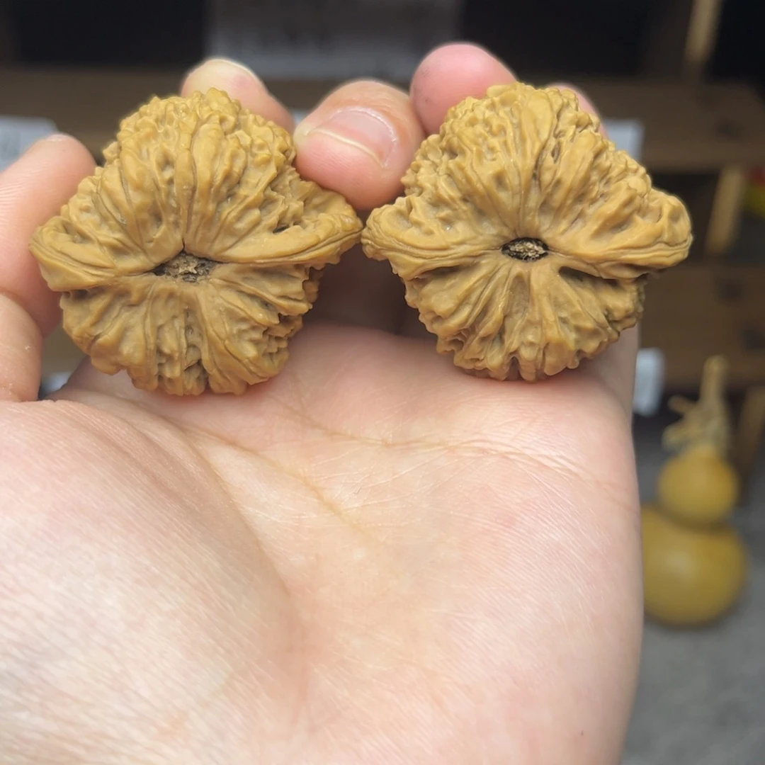 文玩核桃把件山地果。差半尺