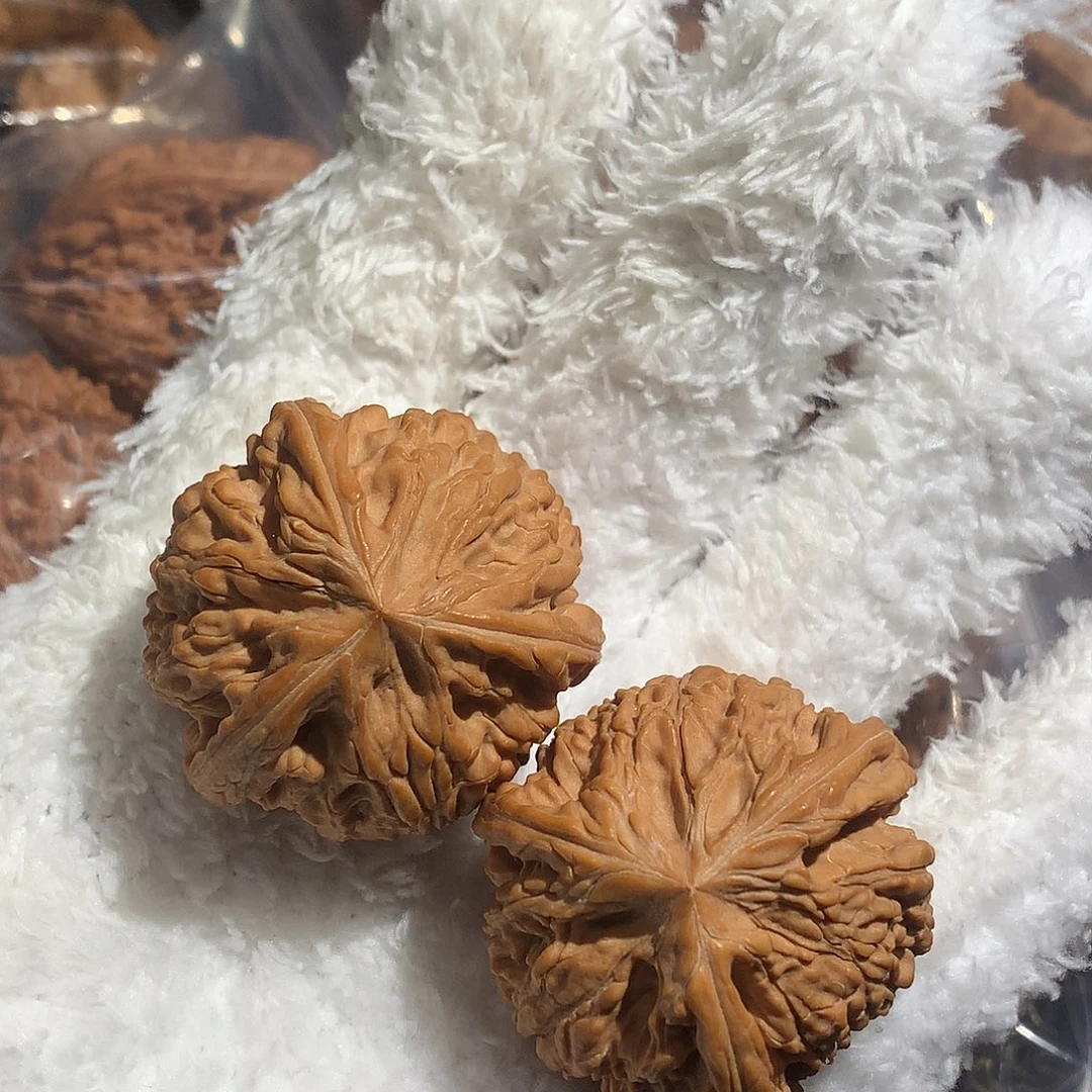 啦啦啦啦啦啦啦啦