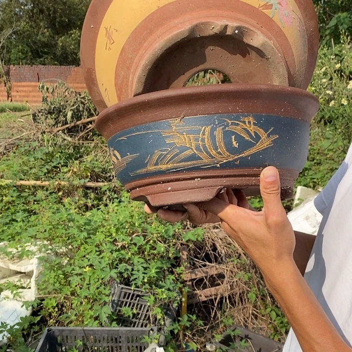 紫砂花盆没有什么不可以的事情就是