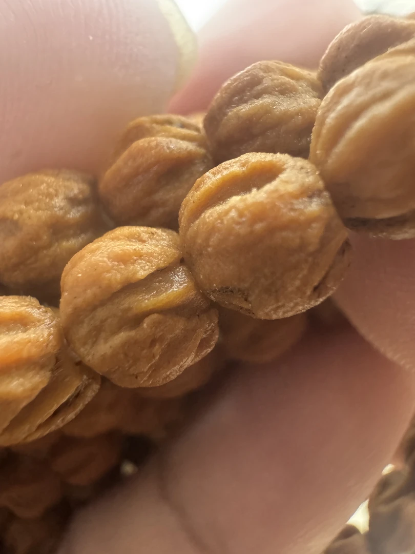 尺寸7左右白芽原装鬼脸柏香籽脖挂