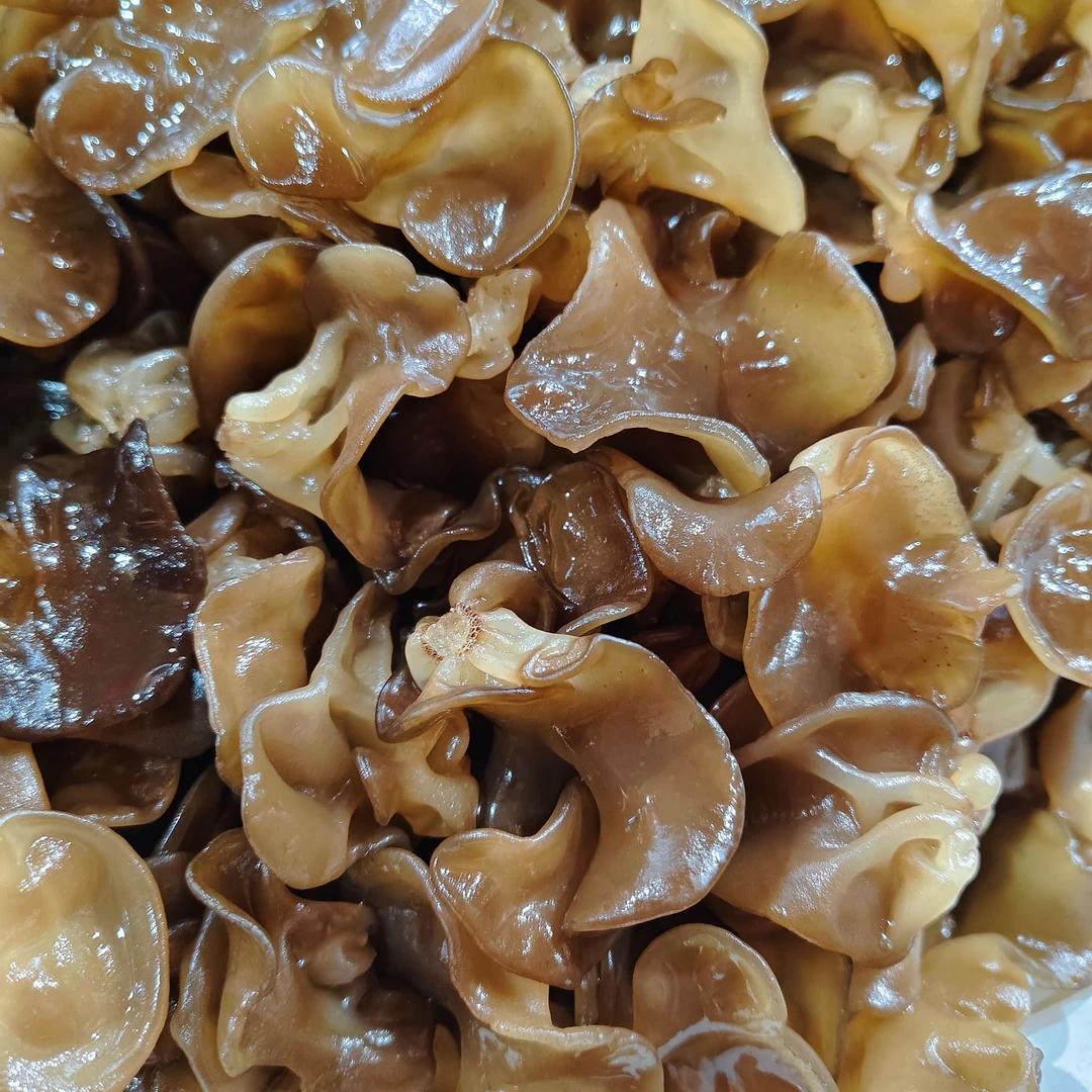 东北柞木段 木耳Q弹 软糯袋装