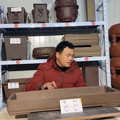 紫砂花盆树*Mmmmmmmmmmmmm