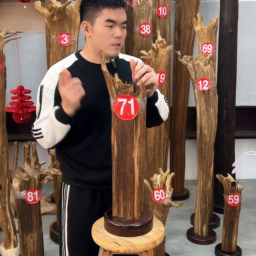 沉香摆件海南沉香摆件