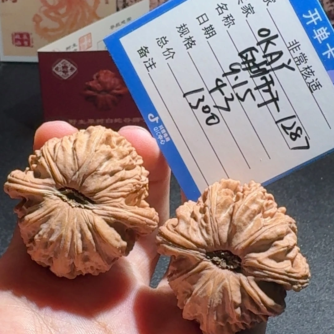 O***Y白狮子全品编号1287