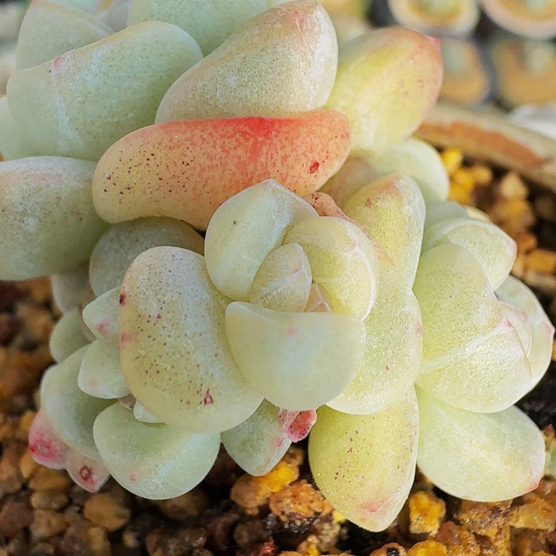 勾***红哈哈哈哈哈哈哈哈哈哈哈哈