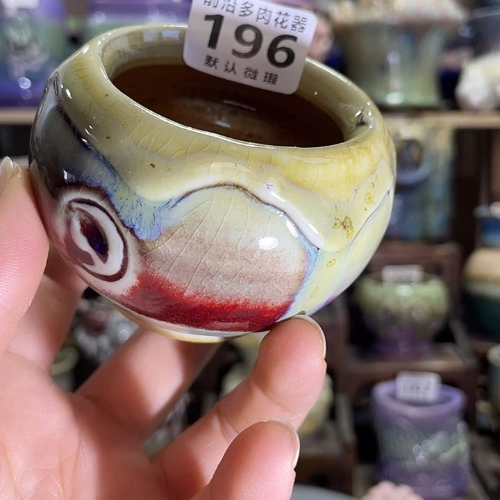 狼盆内口径6高度6