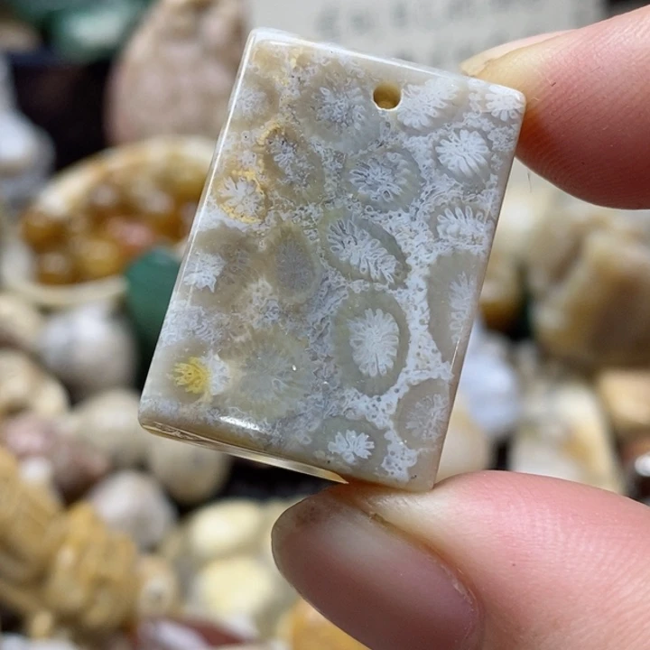 硅化珊瑚（珊瑚玉）未镶嵌颈饰小吊坠