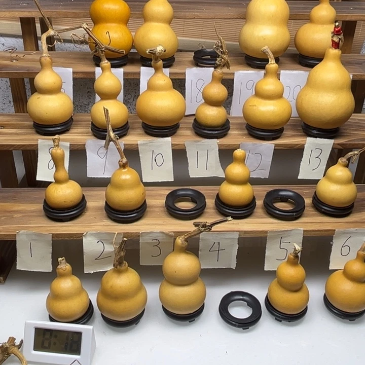 ᥫ***.啦啦啦啦啦啦啦啦啦啦啦啦