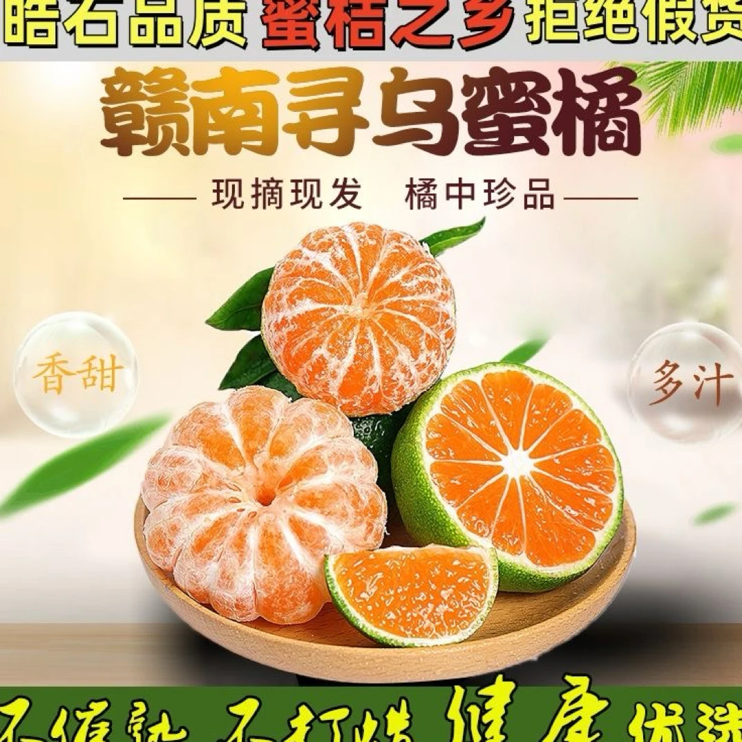 江西赣南寻乌蜜橘青皮酸甜可口孕妇新鲜应季水果包邮（拍中发大）