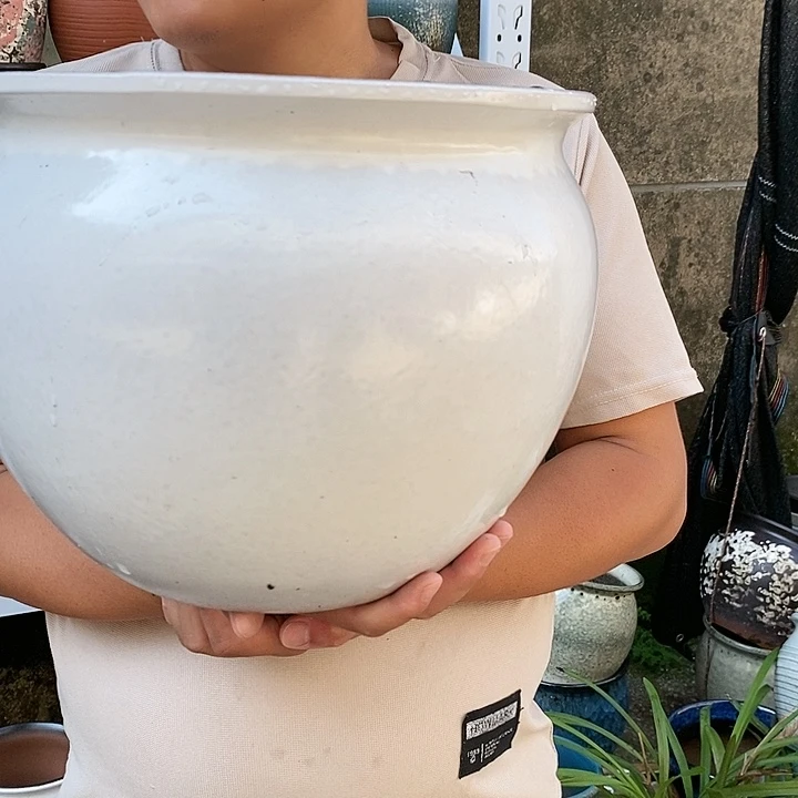 紫砂花盆口30高25福利