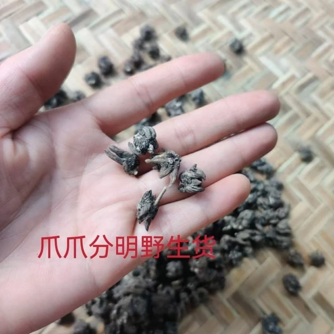 【苗爪草】农产品爪爪分明