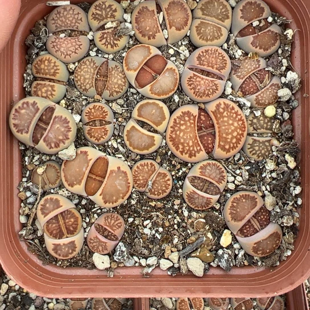 【闪购商品】143……