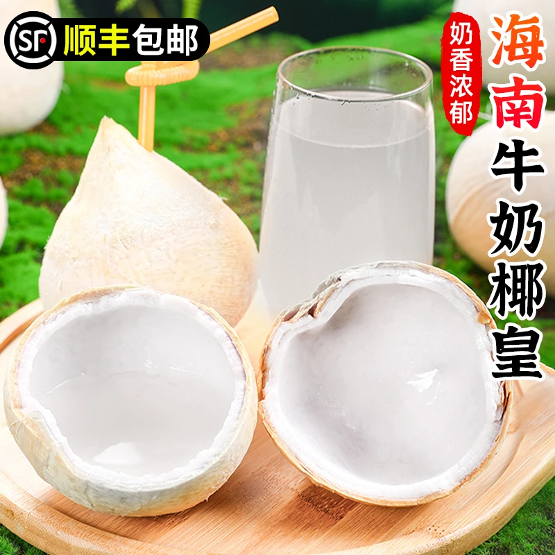 【顺丰包邮】海南牛奶椰皇3-12个毛椰椰青椰宝老椰子肉椰汁新鲜水果