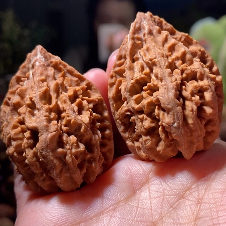 文玩核桃把件东北楸子小路 219