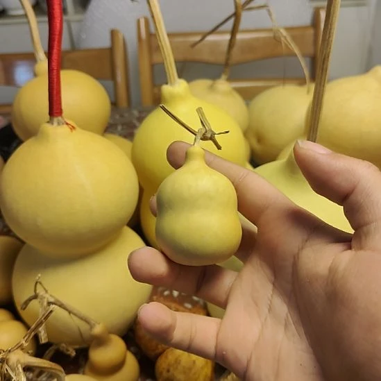 精品葫芦精品葫芦