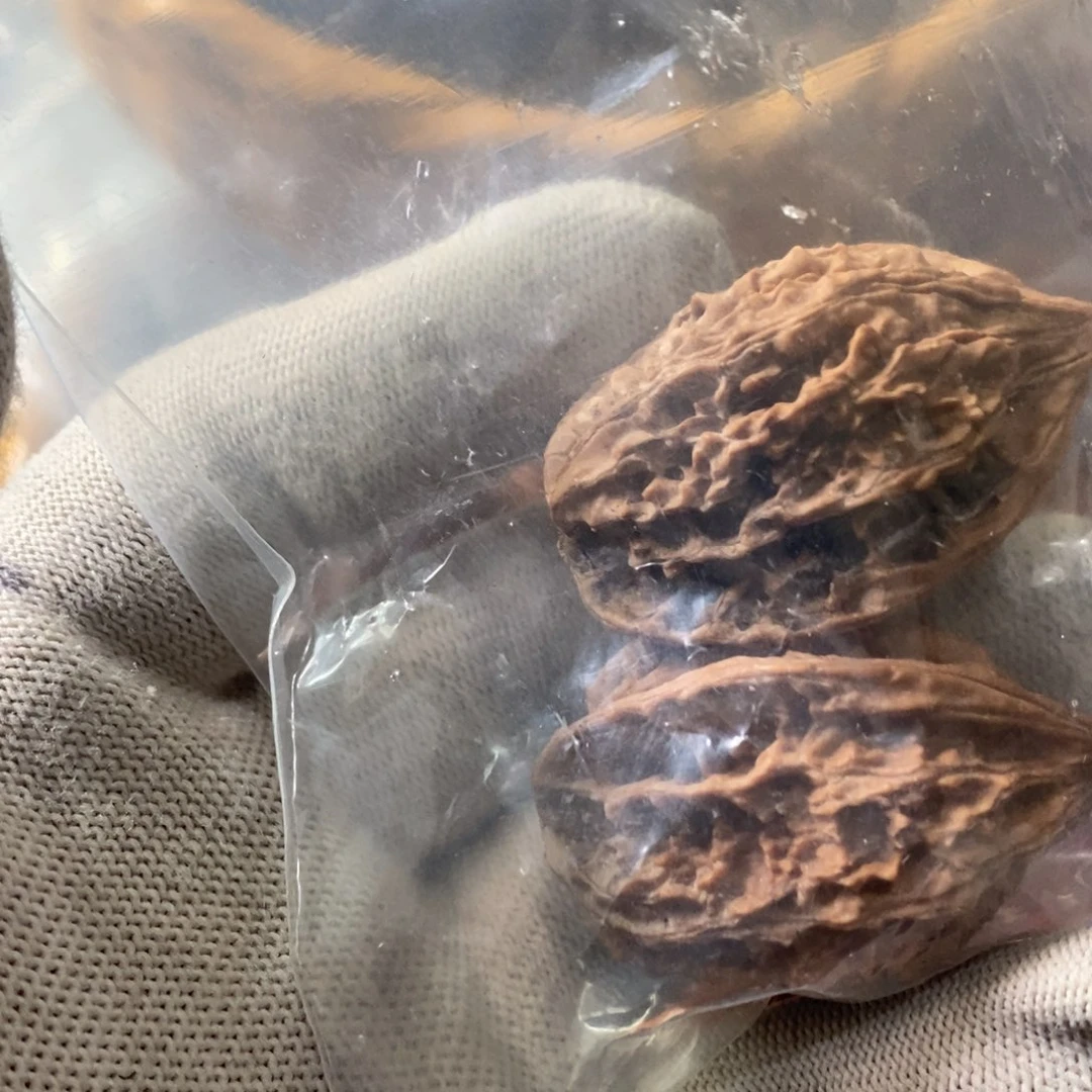 大*秦岭山脉东面临渤海边缘