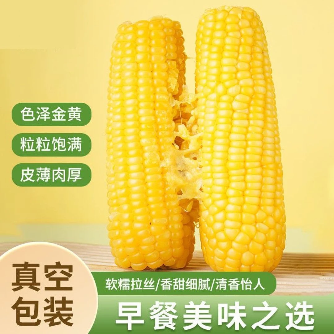 25年村头高小】 精选黄糯玉米 非转基因东北玉米 软糯香甜