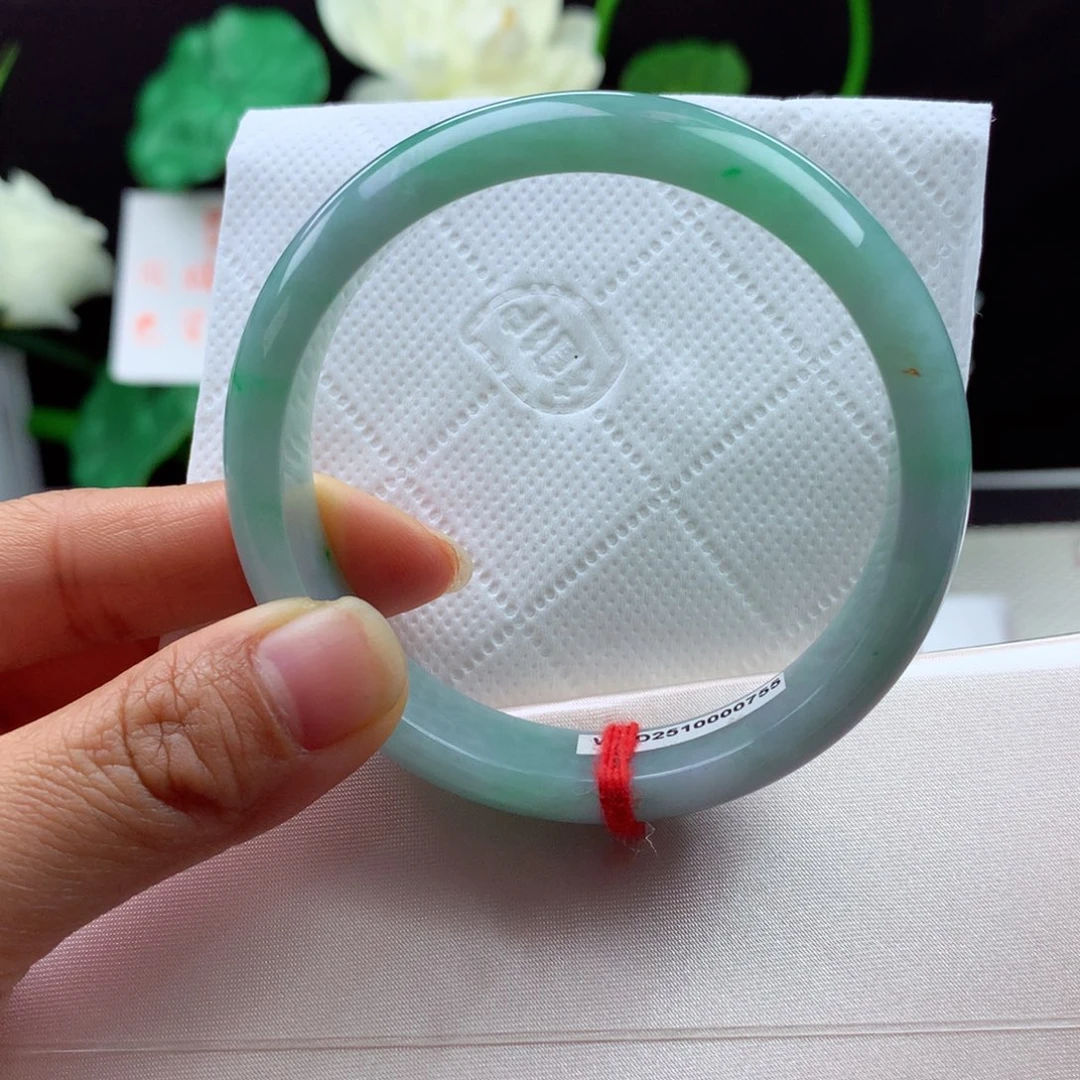 未镶嵌手镯翡翠乘*纯天然