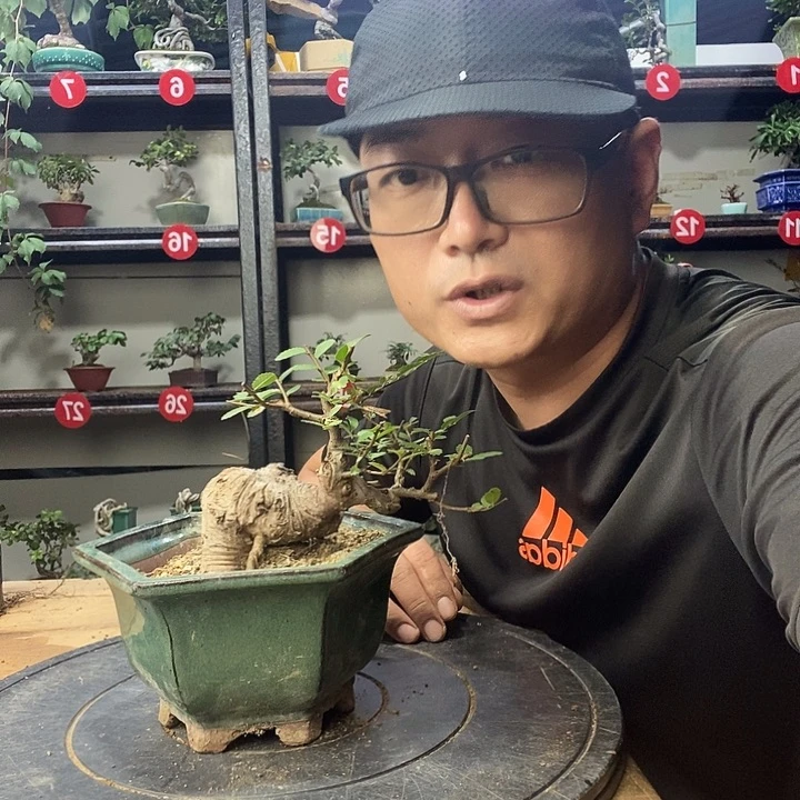 贺***9无花朵王博也教你学
