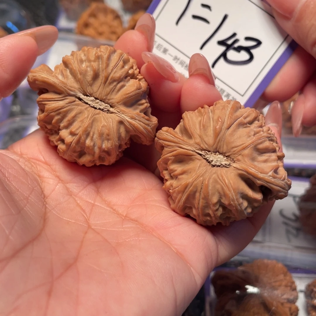 把件文玩核桃143号白狮子44